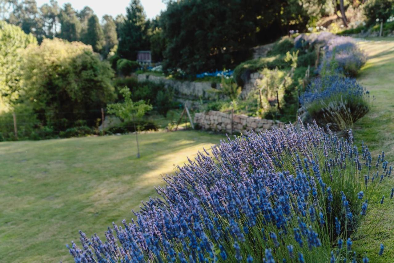 Casa Agricola Da Levada Eco Village ヴィラ・レアル エクステリア 写真