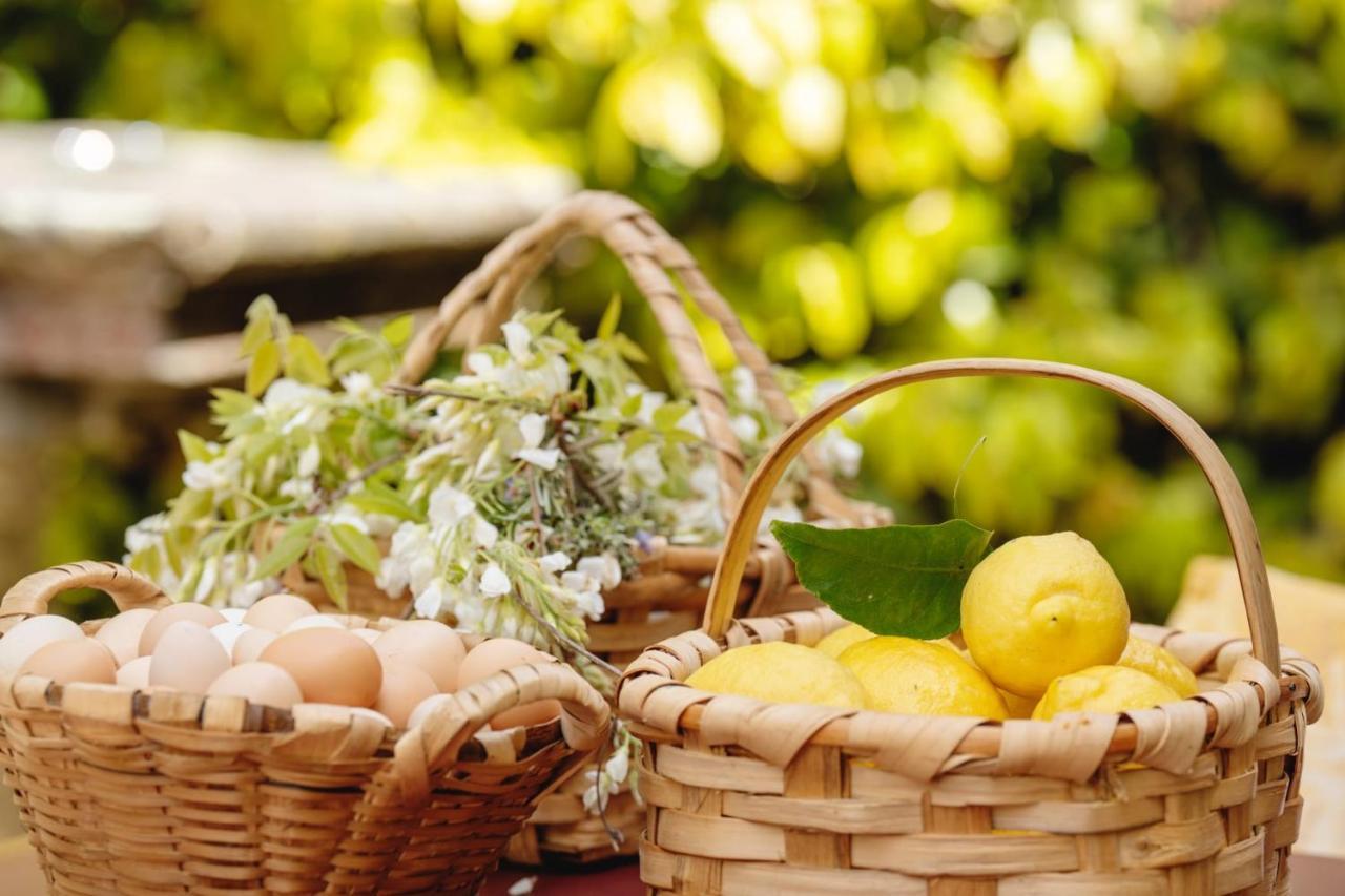 Casa Agricola Da Levada Eco Village ヴィラ・レアル エクステリア 写真
