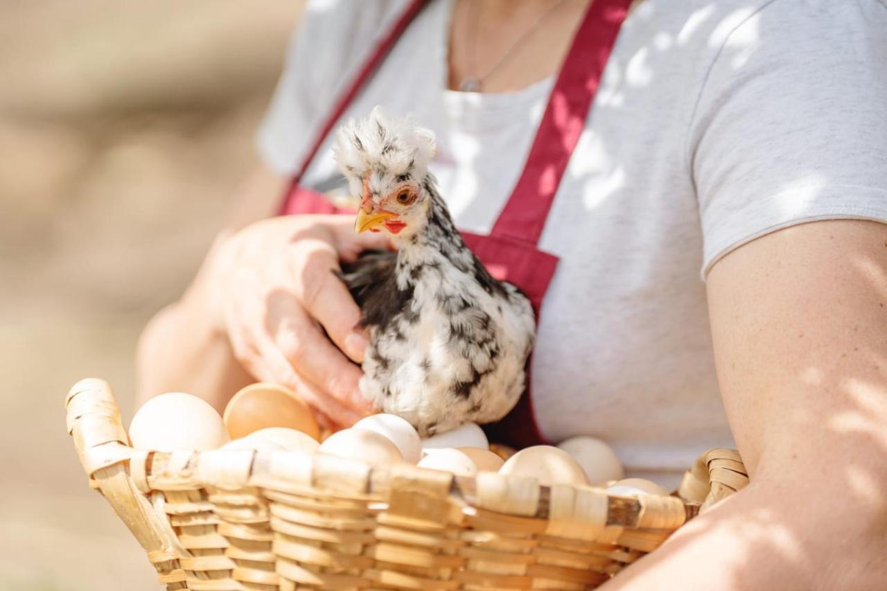 Casa Agricola Da Levada Eco Village ヴィラ・レアル エクステリア 写真