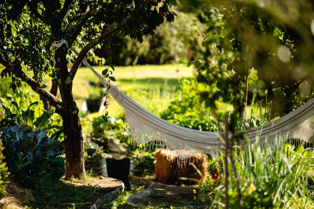 Casa Agricola Da Levada Eco Village ヴィラ・レアル エクステリア 写真
