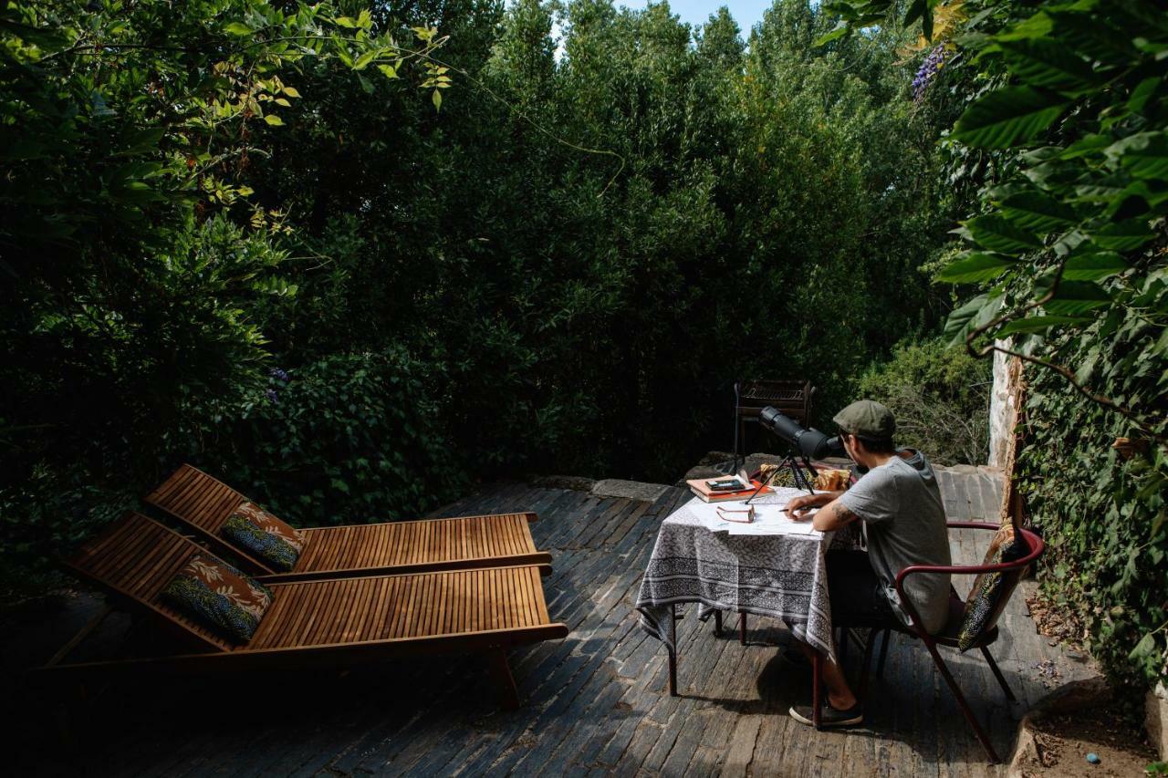 Casa Agricola Da Levada Eco Village ヴィラ・レアル エクステリア 写真